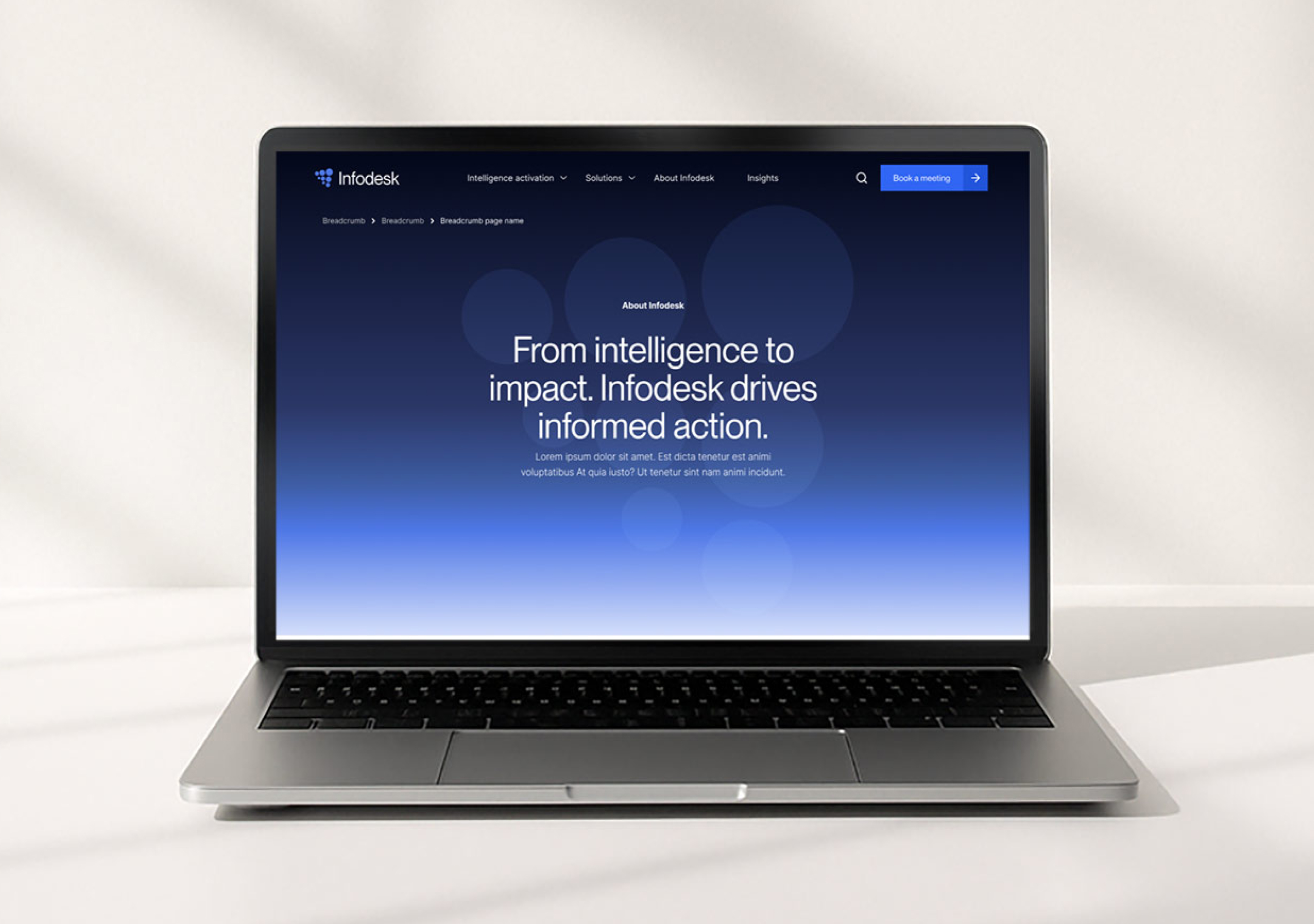 Infodesk About page on laptop, From intelligence to impact